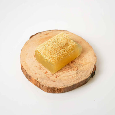 Éponge Végétale et Savon : Menthol