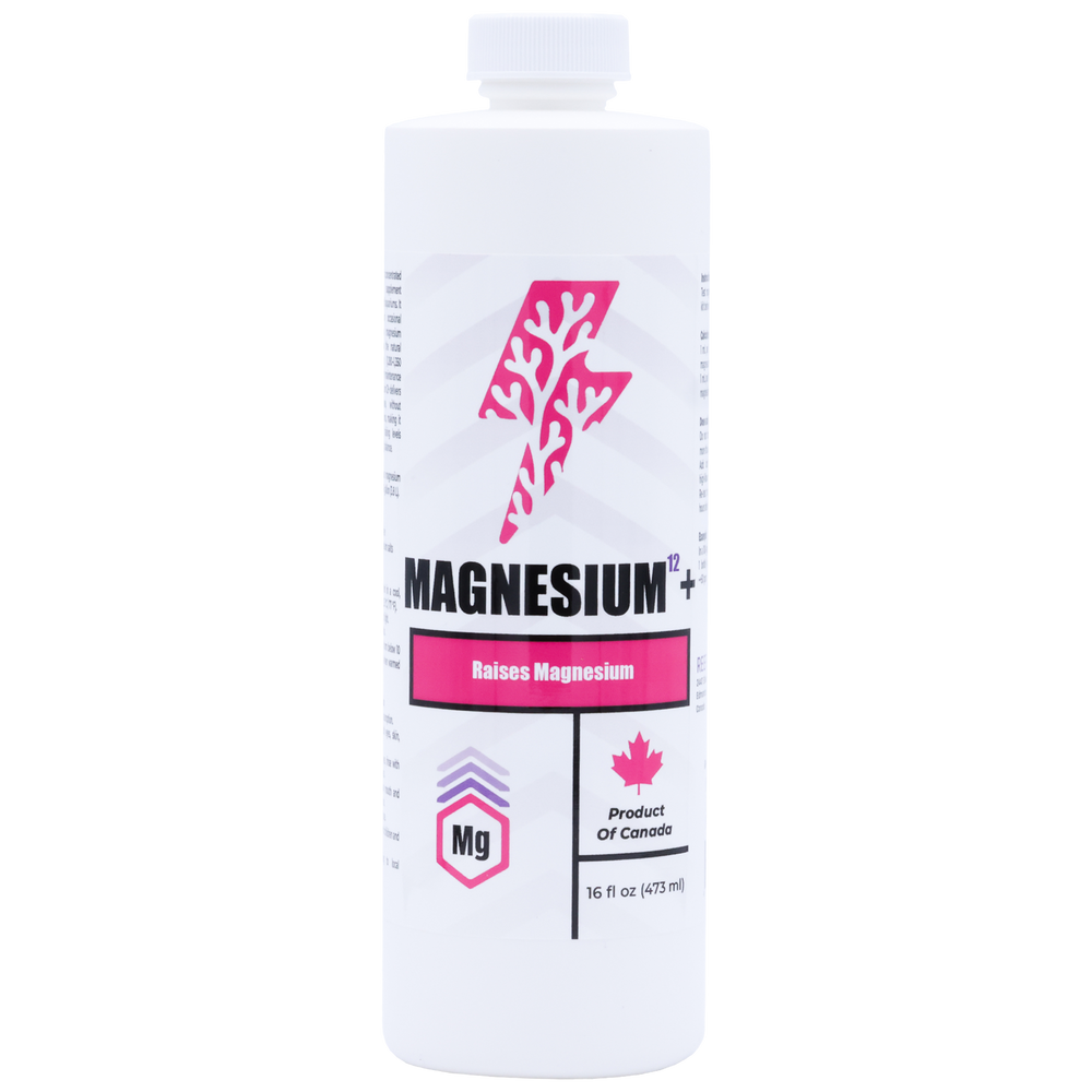 Magnésium¹²+