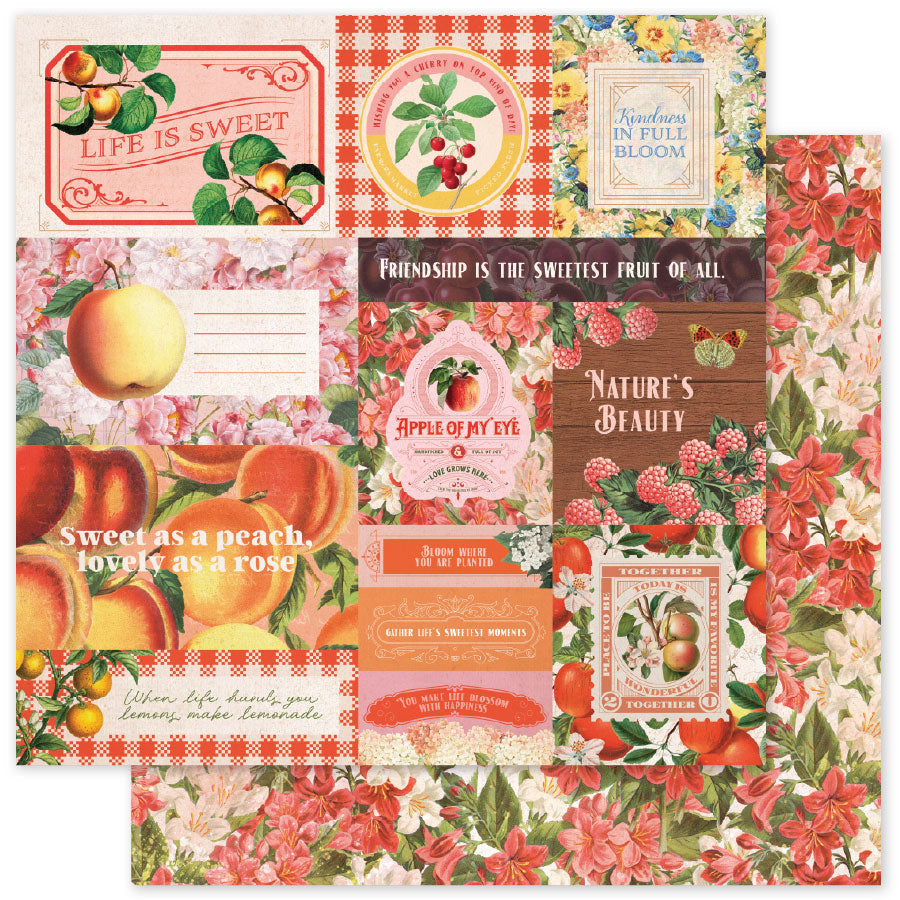 Meadowbrook Farm Basics A 12 x 12 Paper (12 pc Bulk Pack) 35046 — Ecstasy Crafts