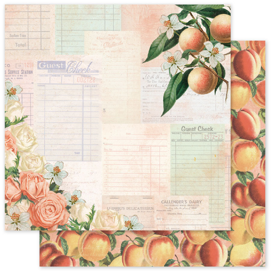 Meadowbrook Farm Basics C 12 x 12 Paper (12 pc Bulk Pack) 35052 — Ecstasy Crafts