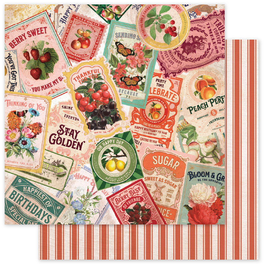 Meadowbrook Farm Basics E 12 x 12 Paper (12 pc Bulk Pack) 35058 — Ecstasy Crafts