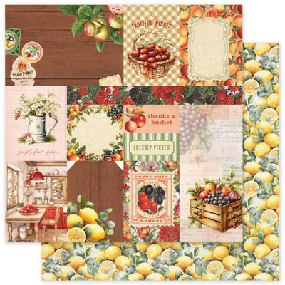 Meadowbrook Farm E 12 x 12 Paper (12 pc Bulk Pack) 35034
