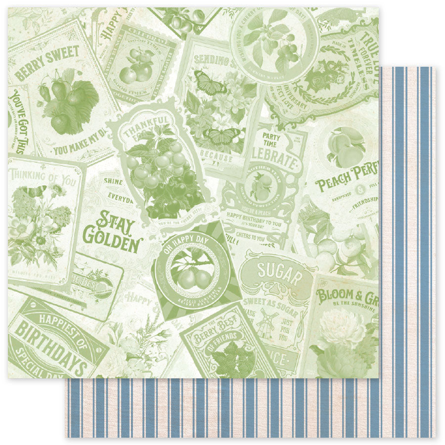 Meadowbrook Farm Patterns E 12 x 12 Paper (12 pc Bulk Pack) 35103 — Ecstasy Crafts