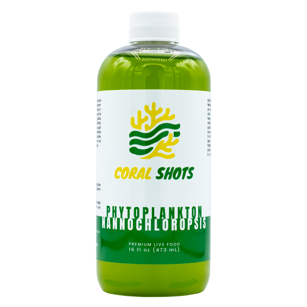 Phytoplancton vivant Nannochloropsis - Coraux