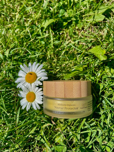 Protecteur Nectar | Baume pour mamelons | Motherly Organics