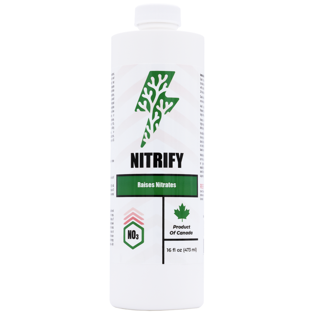 Nitrifier