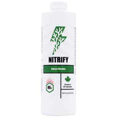 Nitrifier