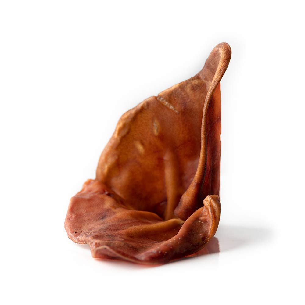 Oreille de porc
