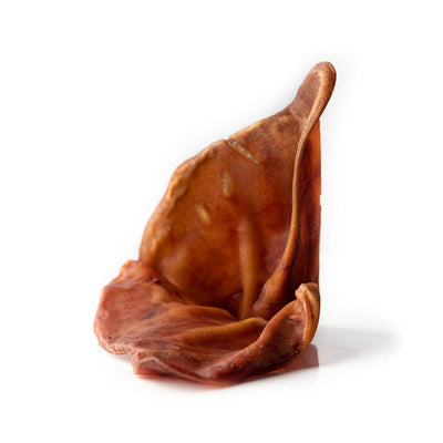 Oreille de porc
