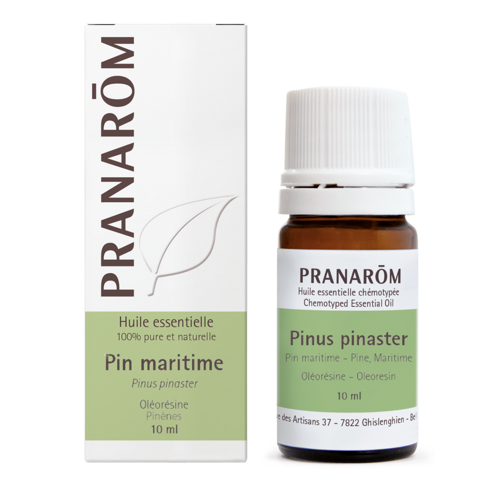 Maritime Pine - Oleoresin — Unytii - Suppléments et Produits Naturels