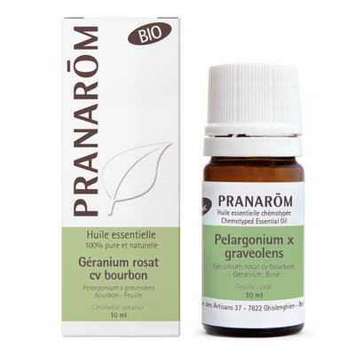 Rose Geranium cv Bourbon - Organic Leaf