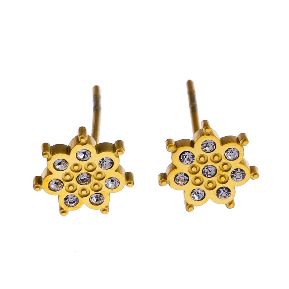 Style AGNES : Clous d'oreilles « Soyez une étoile » en zircone