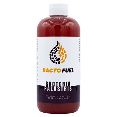 Bactéries vivantes Palustris - Carburant Bacto