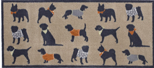 Pet 61 Runner