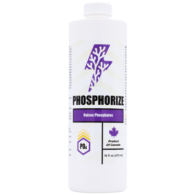 Phosphorize