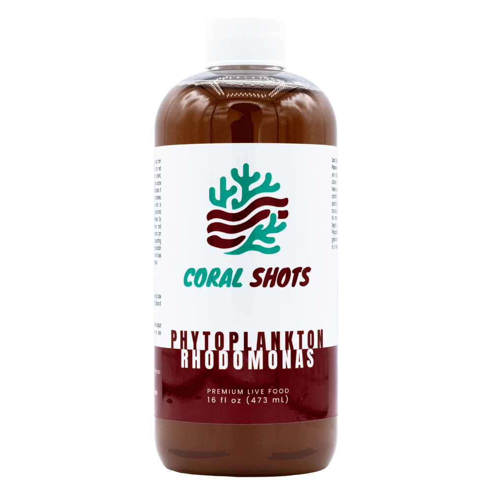 Rhodomonas Phytoplancton vivant - Boutures de corail
