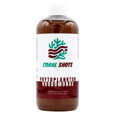 Rhodomonas Phytoplancton vivant - Boutures de corail