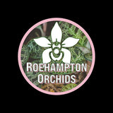 Roehampton Orchids