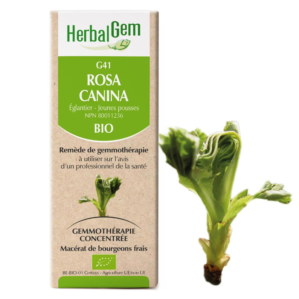 G41 - Rosa canina - Wild Rose — Unytii - Suppléments et Produits Naturels