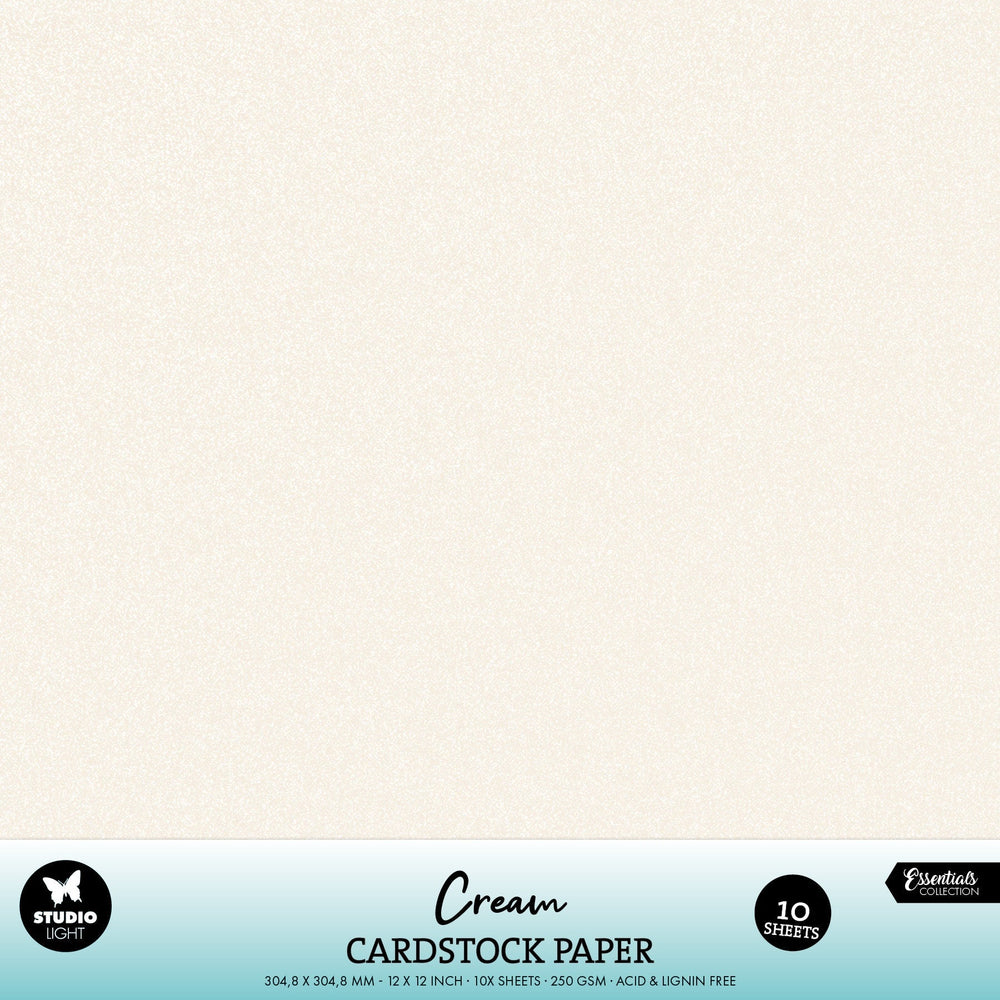 SL Paper Lot de 10 feuilles de papier cartonné crème 250 g/m²