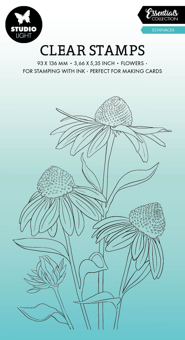 SL Tampon Transparent Echinacea Essentials 93x136x3mm 1 PC n°543