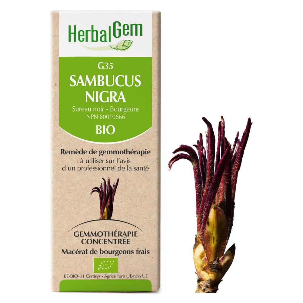 G35 - Black Elderberry — Unytii - Suppléments et Produits Naturels