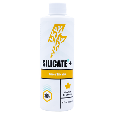Silicate¹⁴+