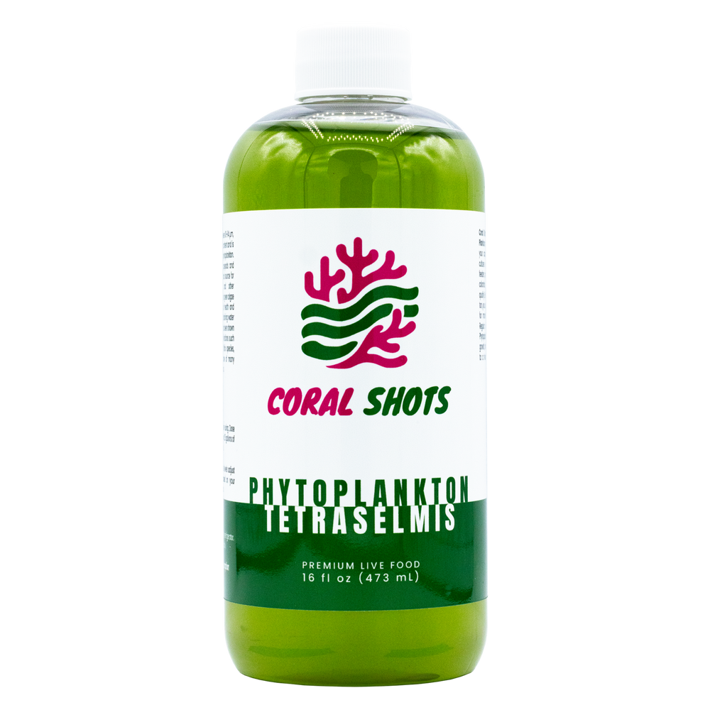 Phytoplancton vivant Tetraselmis - Shots de coraux