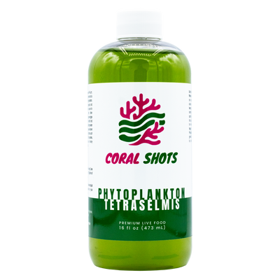 Tetraselmis Live Phytoplankton - Coral Shots
