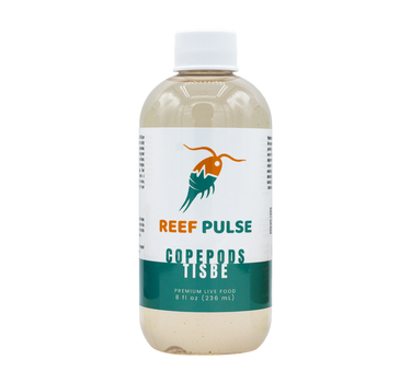 Tisbe Live Copepods - Reef Pulse