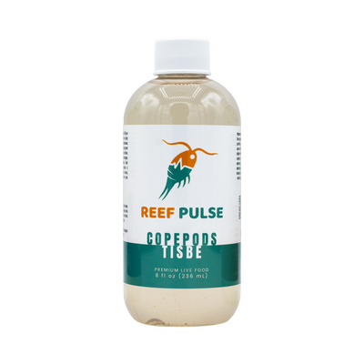 Tisbe Live Copépodes - Reef Pulse