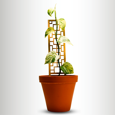 Trellis Tropical Squares en bois