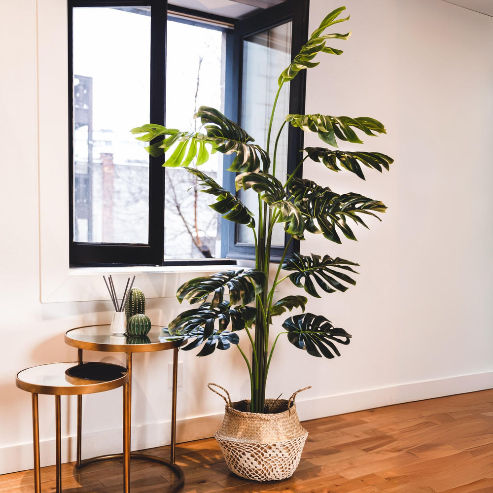 Plante Monstera Artificielle Rita en Pot (Plusieurs Tailles)