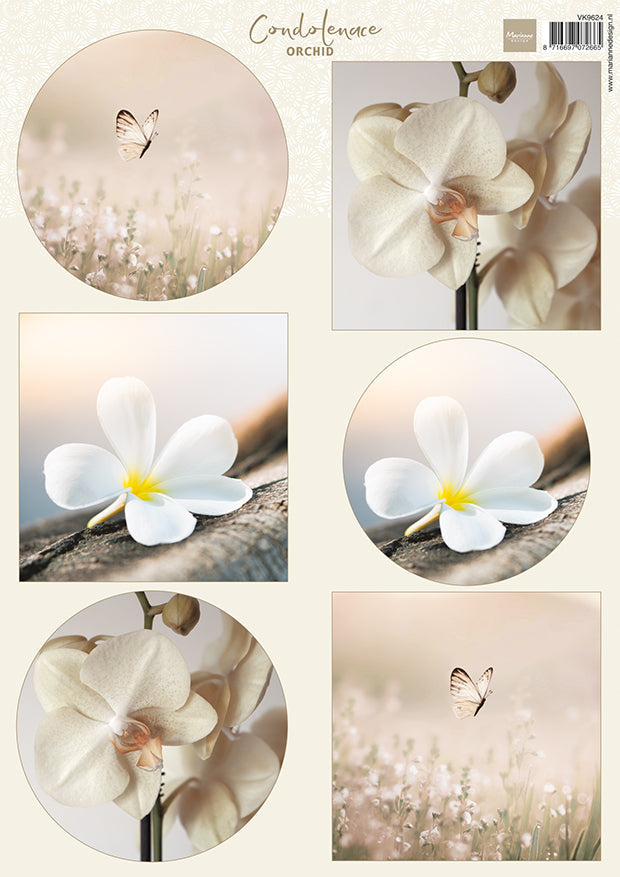 Marianne Design Feuille de découpe A4 - Condoléances - Orchidée