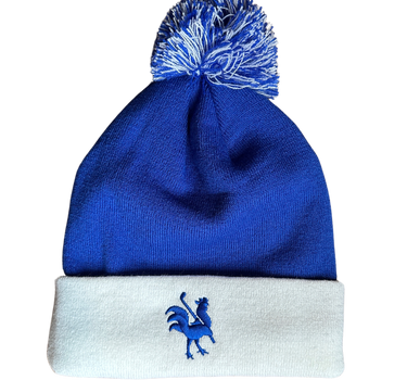 Winter Toque
