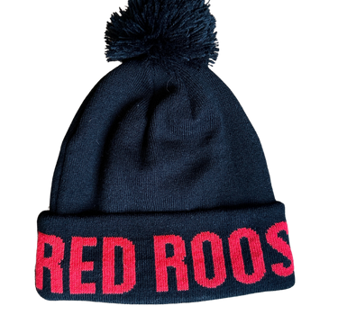 Winter Toque
