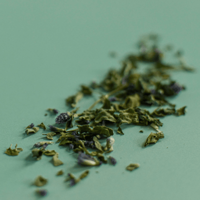 Anise Hyssop