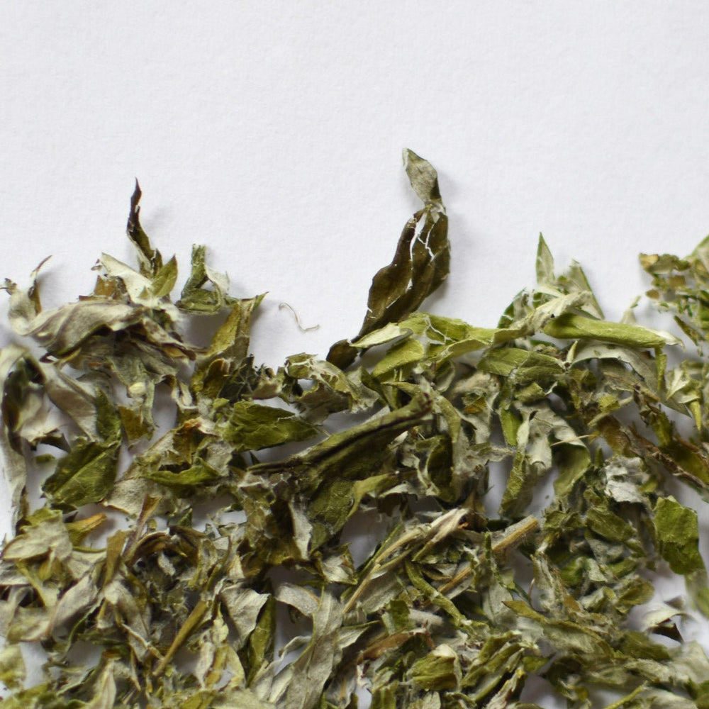 Mugwort