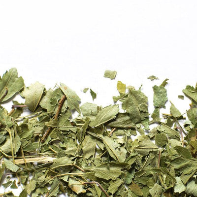 Aubépine, feuille
