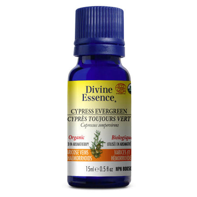 Organic Evergreen Cypress