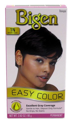BIGEN EASY COLOR - 1N - NATURAL BLACK