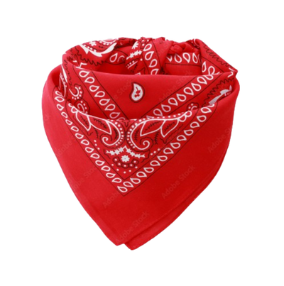 Lot de 5 bandanas Europe Bound
