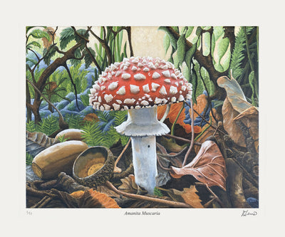 AMANITA MUSCARIA - TIRAGE D'ART LIMITÉ À 77 EXEMPLAIRES PAR RYAN LEWIS - ÉPREUVE D'ARTISTE (20 X 16.5)