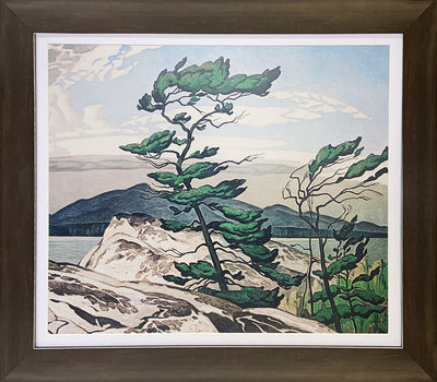 IMPRESSION ENCADRÉE DE L'ŒUVRE D'ART D'A.J. CASSON « WHITE PINE » DU GROUPE DES SEPT (28 X 24 PO) – OBJET DE COLLECTION D'ART CANADIEN