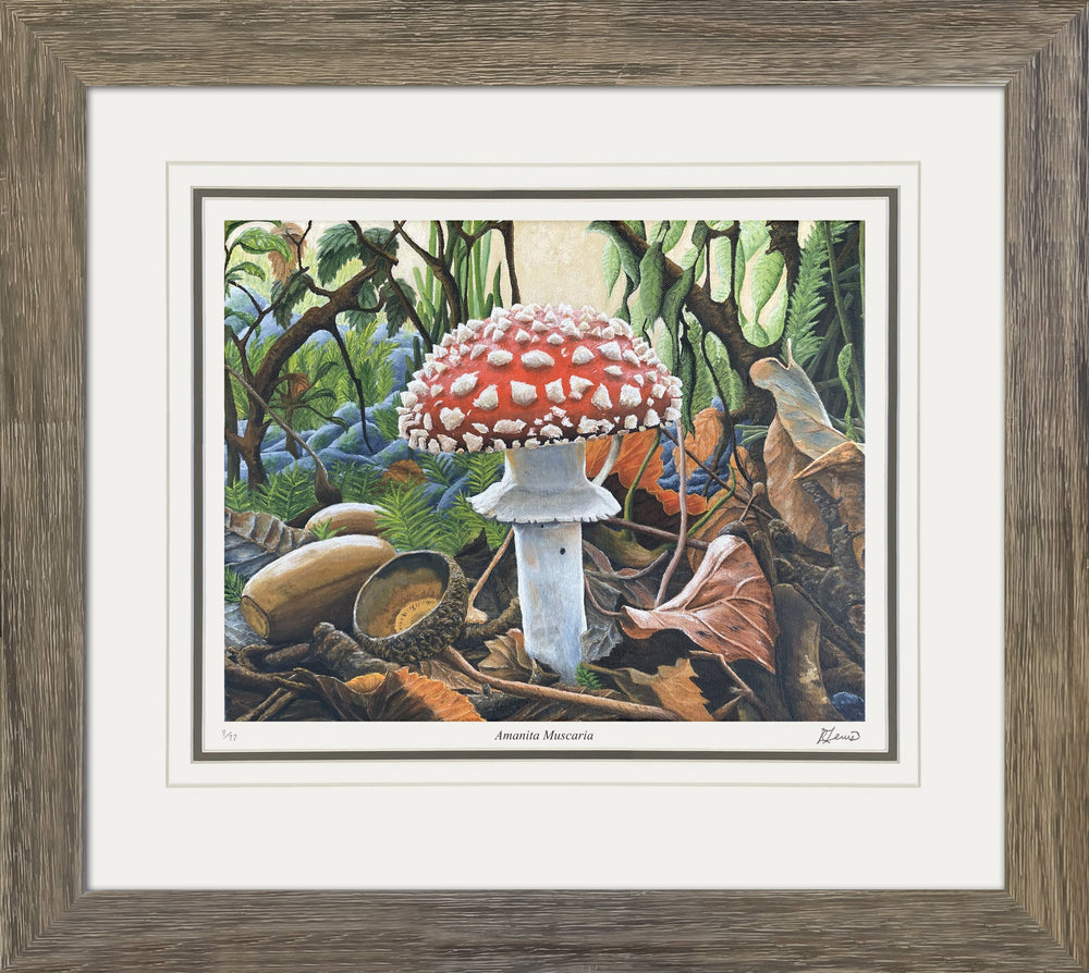 AMANITA MUSCARIA - TIRAGE D'ART ENCADRÉ EN ÉDITION LIMITÉE PAR RYAN LEWIS - ÉPREUVE D'ARTISTE /77 (31 SUR 24)