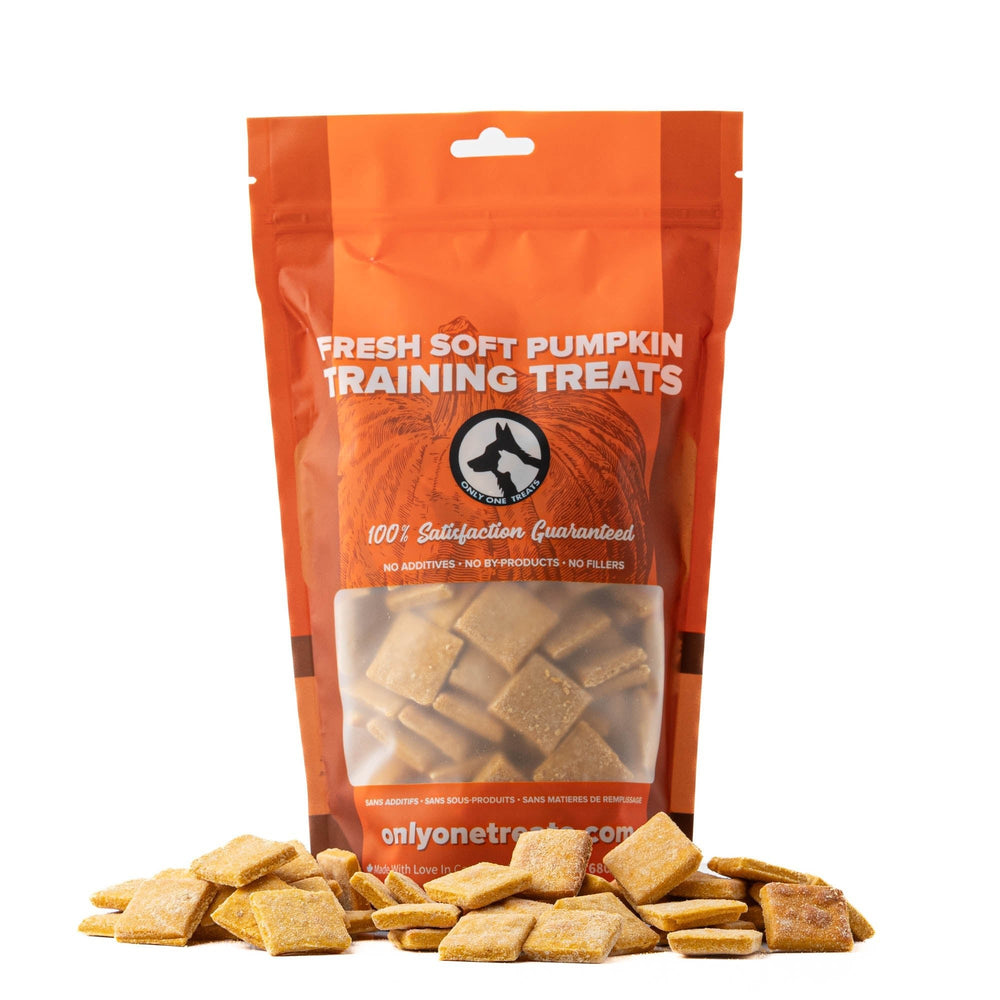 Friandises tendres pour l'éducation au potiron 680g