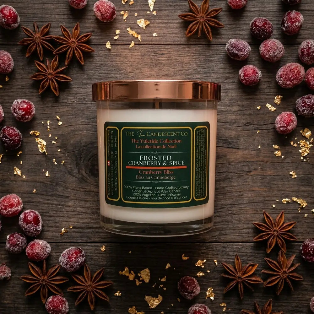 CANNEBERGE GLACÉE & ÉPICES | Bougie festive de luxe en cire de noix de coco et d'abricot pour Noël