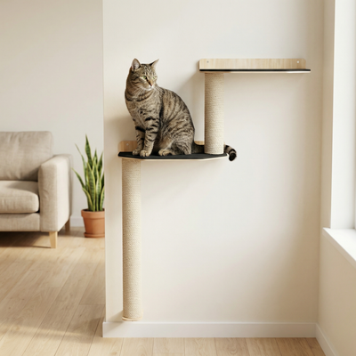 Wall Mounted Cat Scratcher Parkour