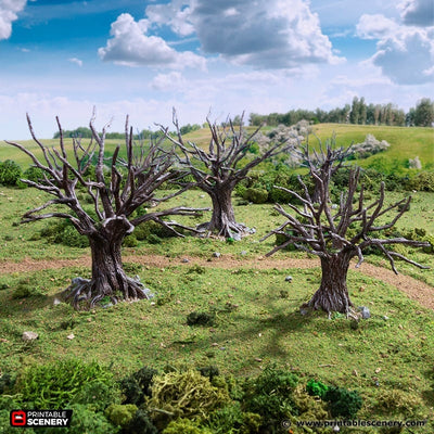 Chênes - King and Country, DnD, Pathfinder, 15mm, 28mm, 32mm, terrain de jeu de guerre, décor D&D, village médiéval, nature, forêt, ville