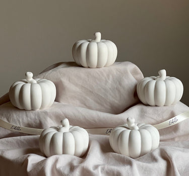 Handmade Jesmonite Pumpkin Decor | Autumn Decoration